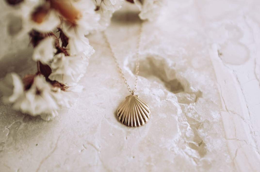 Brighter Days Shell Charm Necklace // 14k GF